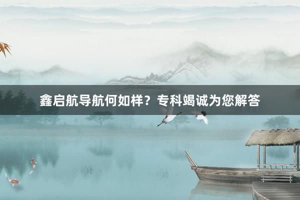 鑫启航导航何如样？专科竭诚为您解答