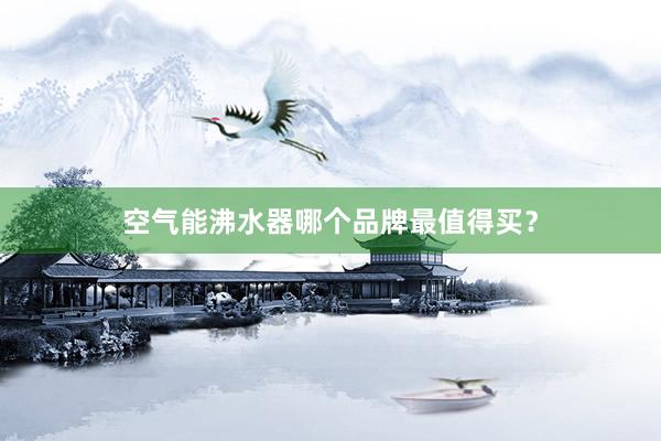 空气能沸水器哪个品牌最值得买？