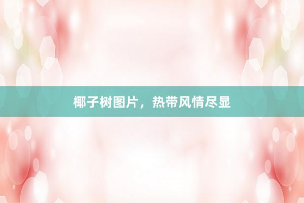 椰子树图片，热带风情尽显