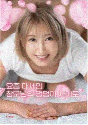 最后一张牌 电影 2026
